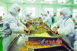 青濰對接 農業合作引領農產品生產新飛躍