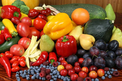 農產品質量安全問題的根源探析